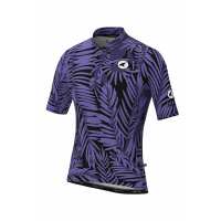 Read Pactimo Reviews